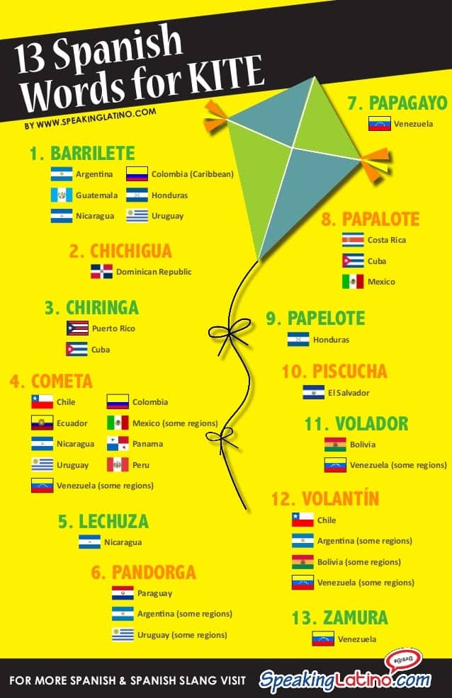 Infographic of the word Kite in spanish